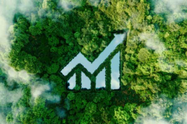 西方稀土磁体制造商正迎来发展黄金期